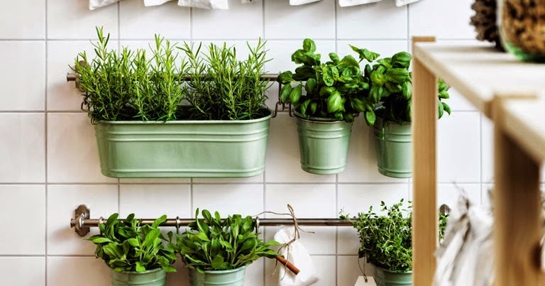 3 ideas fáciles para tener un hogar más verde- The T´ai Spa